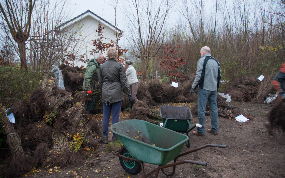 Boomplantactie 1693