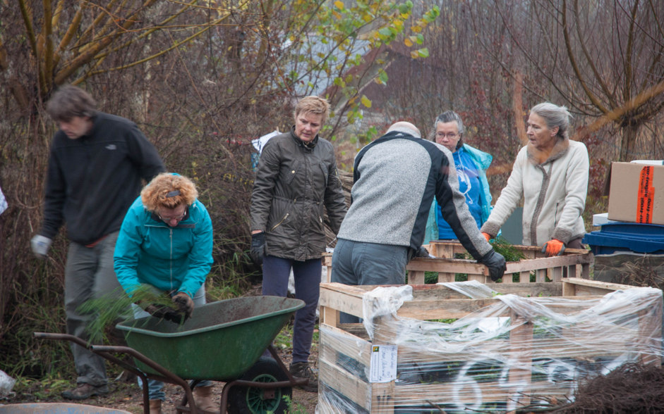 Boomplantactie 1700