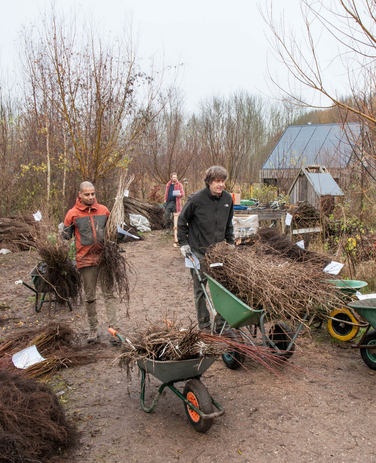 Boomplantactie 1706