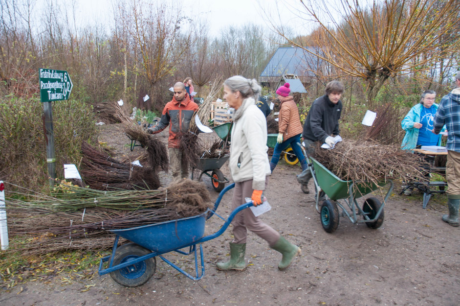 Boomplantactie 1707