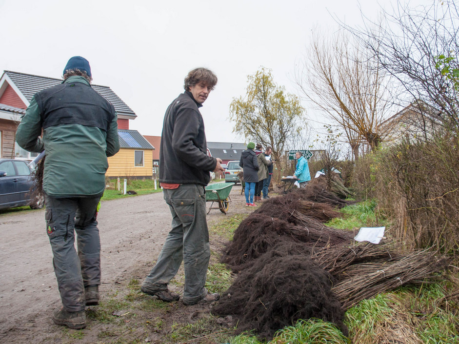 Boomplantactie 1708