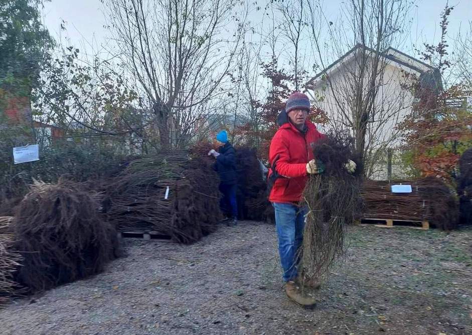 Boomplantdag2