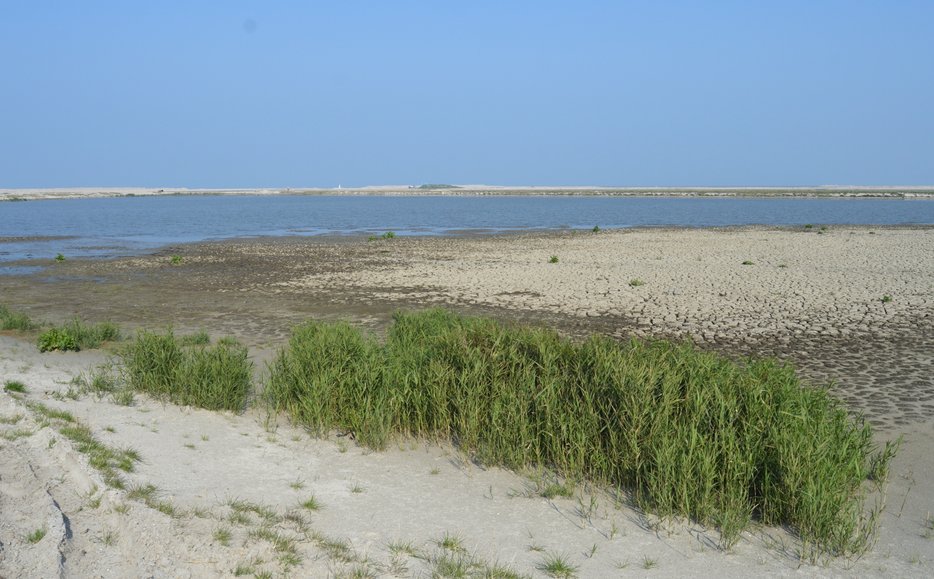 MarkerWadden545