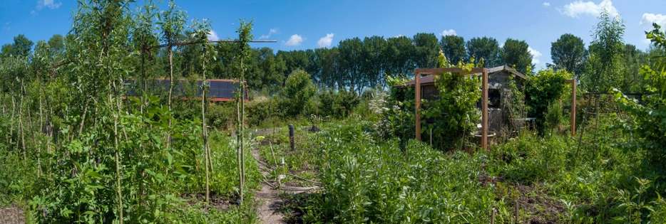 TuinPanorama 5