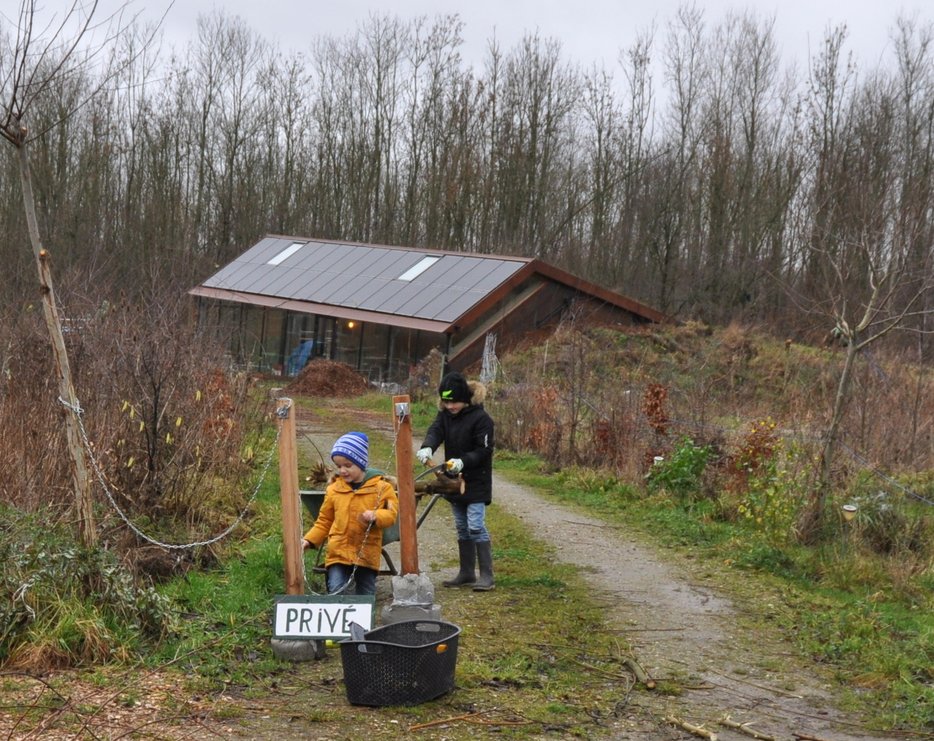 Wilgenknotten81uitsnede