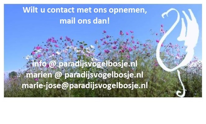 contactgegevens