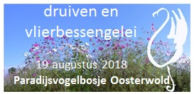 etiket druiven en vlierbessen