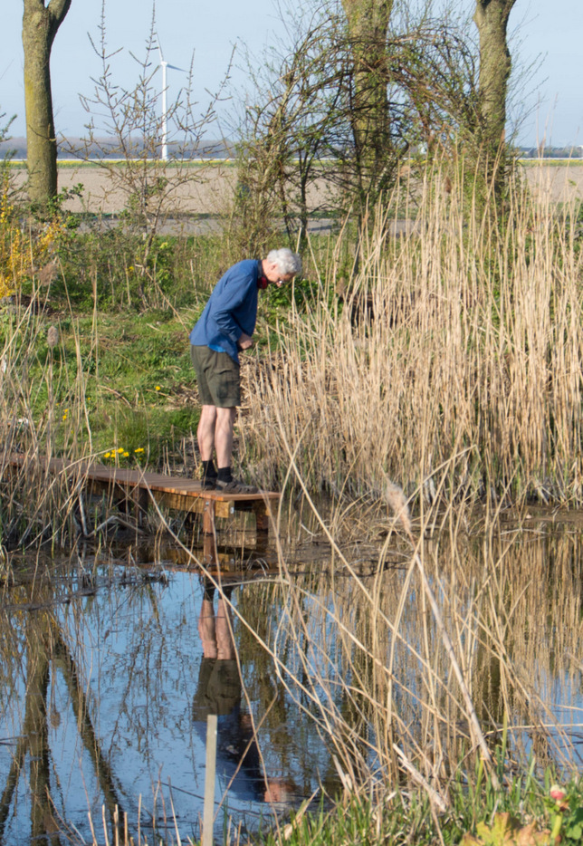 DSC 0241uitsnede