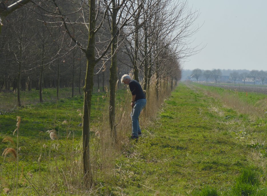 DSC 0308 uitsnede