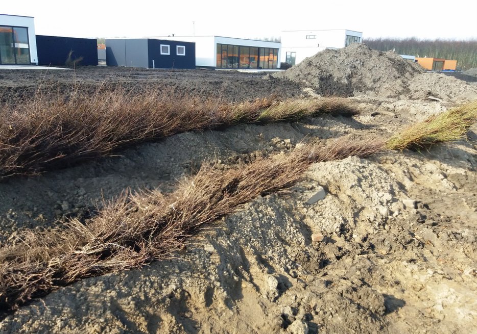 Boomplantdag23 120832